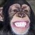 :iconvm2morgan: