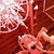 :iconvocaloid-suki: