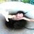 :iconvodkamen:
