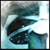 :iconvodkart: