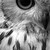 :iconvoiceinthemist: