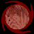 :iconVoid-elementsmoke: