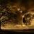 :iconvoid-runner:
