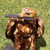 :iconvollytyrannis: