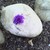 :iconvoltairene: