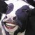 :iconvoltairesusbilla: