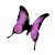 :iconvoluptuousgothfairy: