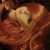 :iconvomit-n-unicorns: