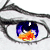 :iconvon-laquacious: