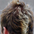 :iconvon112: