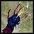 :iconvongneeseshaper5889: