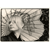:iconvonheyden: