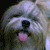 :iconvonsaiyuki: