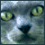 :iconvoodoo-nibbles: