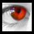 :iconvoodoo-photography: