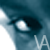 :iconvorago-animus: