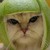 :iconvortex47:
