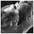 vowbreaker :iconvowbreaker: