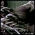 :iconvraven: