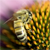:iconvraxor22: