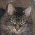 :iconvray666: