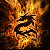 :iconvrider:
