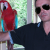 :iconvrmlstudio: