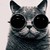 :iconvroomvroom911: