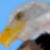 :iconVRWC: