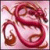 :iconvrythramax: