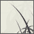 :iconvsm: