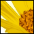 :iconVstyle: