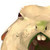 :iconvsurprise:
