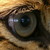 :iconvulcanpics: