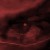 :iconvulgarian-noise: