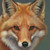 :iconvulpe522: