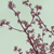 :iconvulpens: