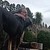 Vulpes-De-Lune :iconvulpes-de-lune:
