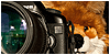 group avatar