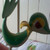 :iconvulpicuno13: