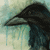 :iconvulturesongs: