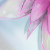 :iconvuon:
