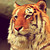 :iconvvmichael: