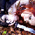 :iconvvola: