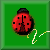 :iconvwinsect: