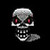 :iconvx1:
