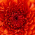 :iconvy112398: