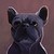 :iconvyar: