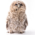 :iconvytheowl: