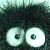 :iconw00dles: